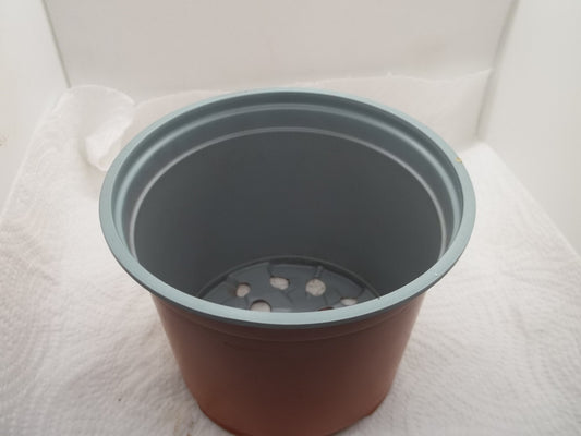 8 x 12cm round pots