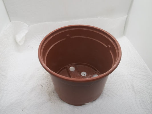 10 x 10½cm round pots