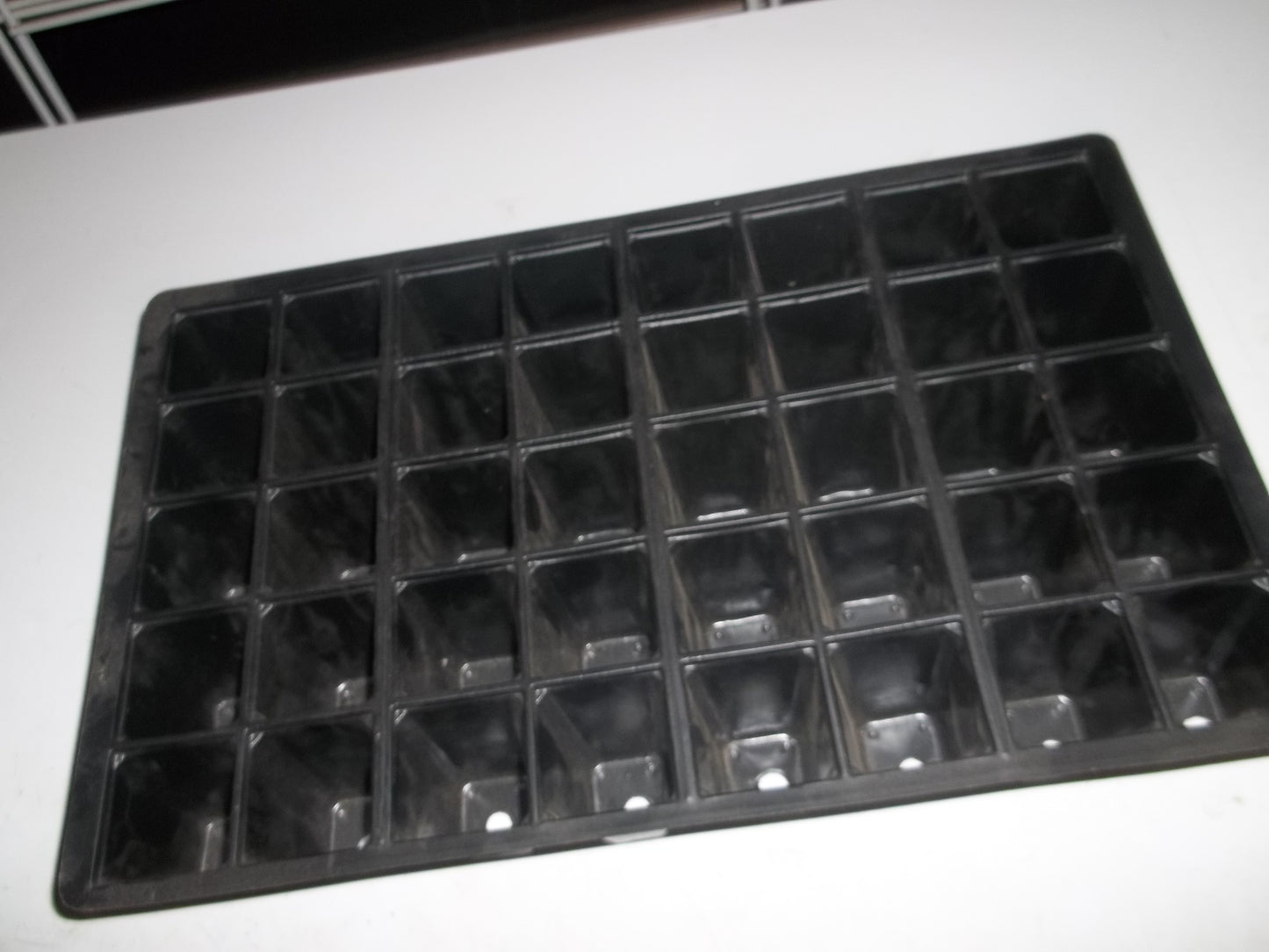 1 x 40 plug tray