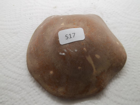 Clay Mushroom S17 (Small)