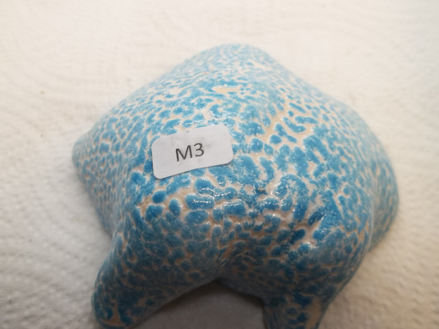 Clay Mushroom M3 (Medium)