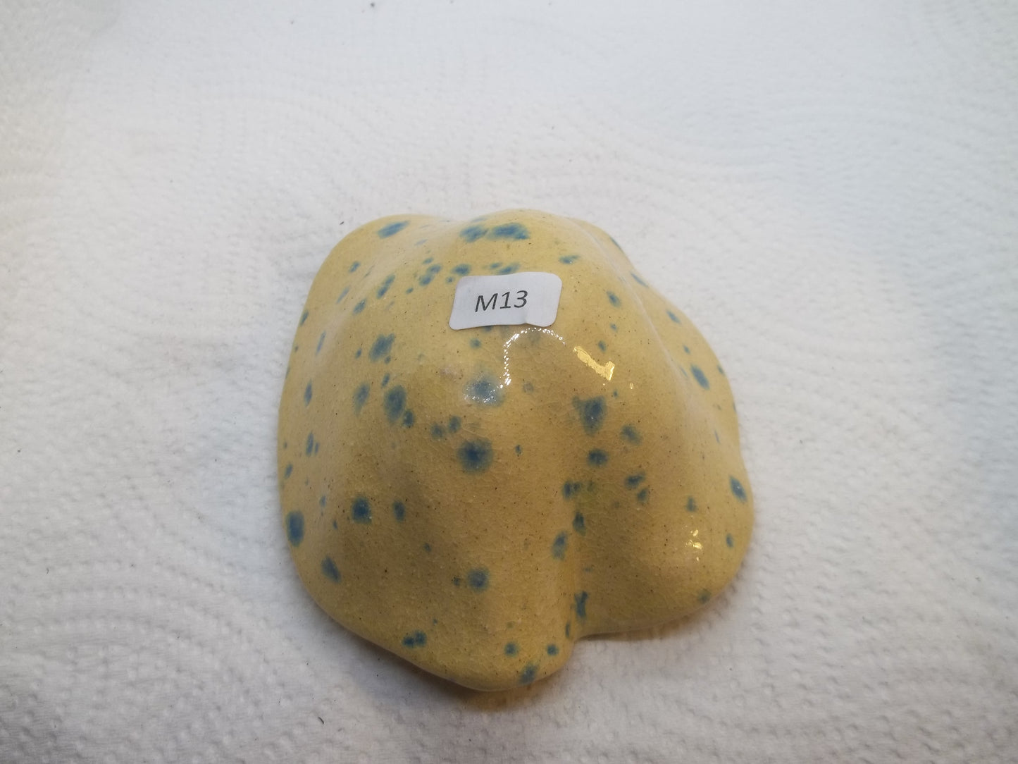 Clay Mushroom M13 (Medium)