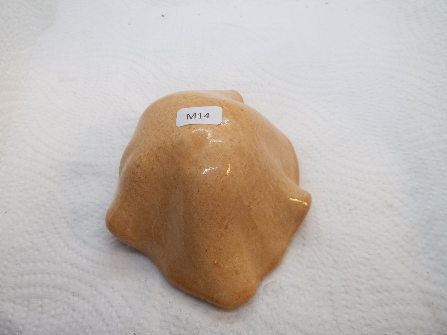 Clay Mushroom M14 (Medium)