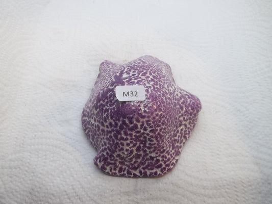 Clay Mushroom M32 (Medium)